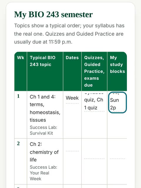 The printable semester planner