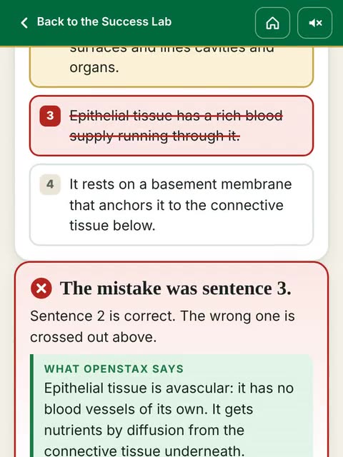 Spotting the error in a sample AI answer